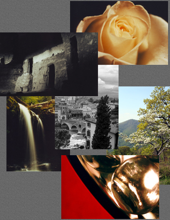 Damian Kolbay Photography