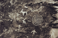 Snail Seep - Damian Kolbay Photography