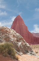 Glass and Sun - Damian Kolbay Photography