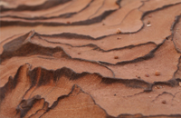 Rock Wave - Damian Kolbay Photography