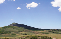 Alpine Meadow - Fishlake NF - Damian Kolbay Photography
