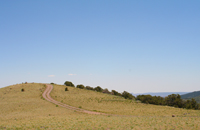Road to the Top - Fishlake NF - Damian Kolbay Photography