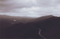 Nature Gallery - Damian Kolbay Photography