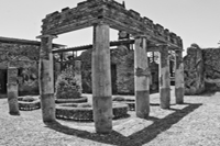 New Additions Gallery - Damian Kolbay Photography