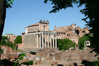 Temple of Antoninus and Faustina  - Damian Kolbay Photography