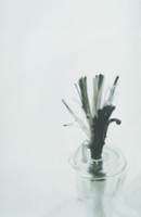 Oil Lamp Wick - Damian Kolbay Photography