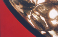 Bold Contrasts - Damian Kolbay Photography