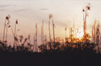 Sunset at the Marshes - Damian Kolbay Photography