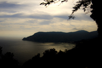 Coast 1 - Damian Kolbay Photography