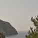 Italy Picture Coastal Vegetation