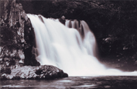 Abrams Falls - Damian Kolbay Photography