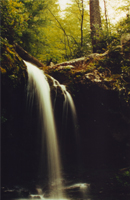 Grotto Falls - Damian Kolbay Photography
