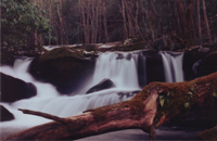 Mountain Stream Cascades - Damian Kolbay Photography