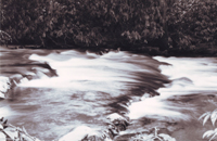 Shallow Rapids - Damian Kolbay Photography