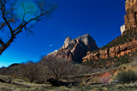 Sunlight on the Canyon - Damian Kolbay Photography