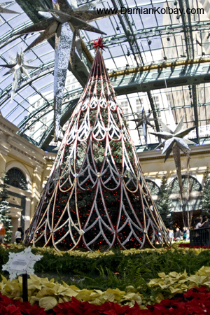 Christmas Tree at the Bellagio - IMG_3746