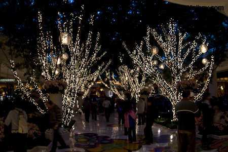 Inside the Wynn Hotel and Casino - IMG_3769