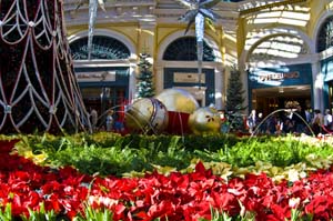 Bellagio Christmas Display - IMG_3739