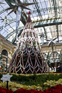 Bellagio Christmas Tree - IMG_3746