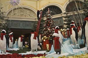 Penguins at the Bellagio Hotel 2 - IMG_3749