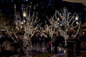 Inside the Wynn Hotel and Casino - IMG_3769